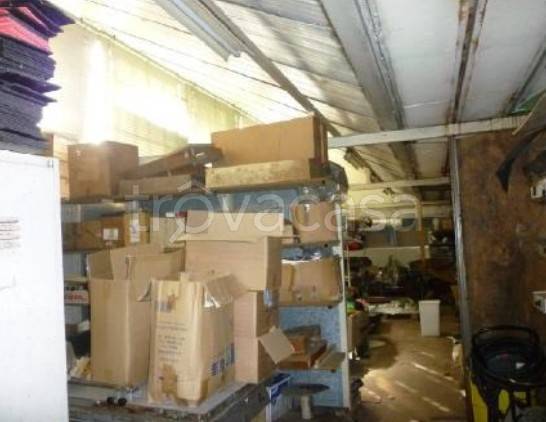 immagine annuncio 1 di 8