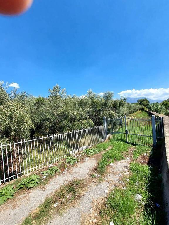 immagine annuncio 2 di 8