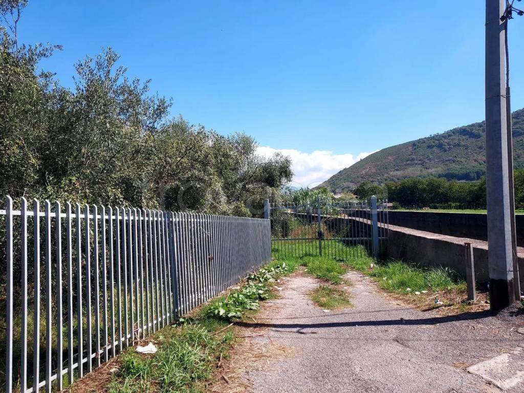 immagine annuncio 3 di 8