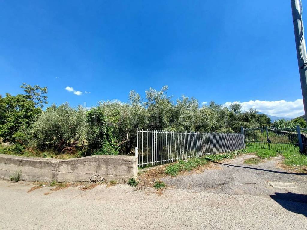 immagine annuncio 5 di 8