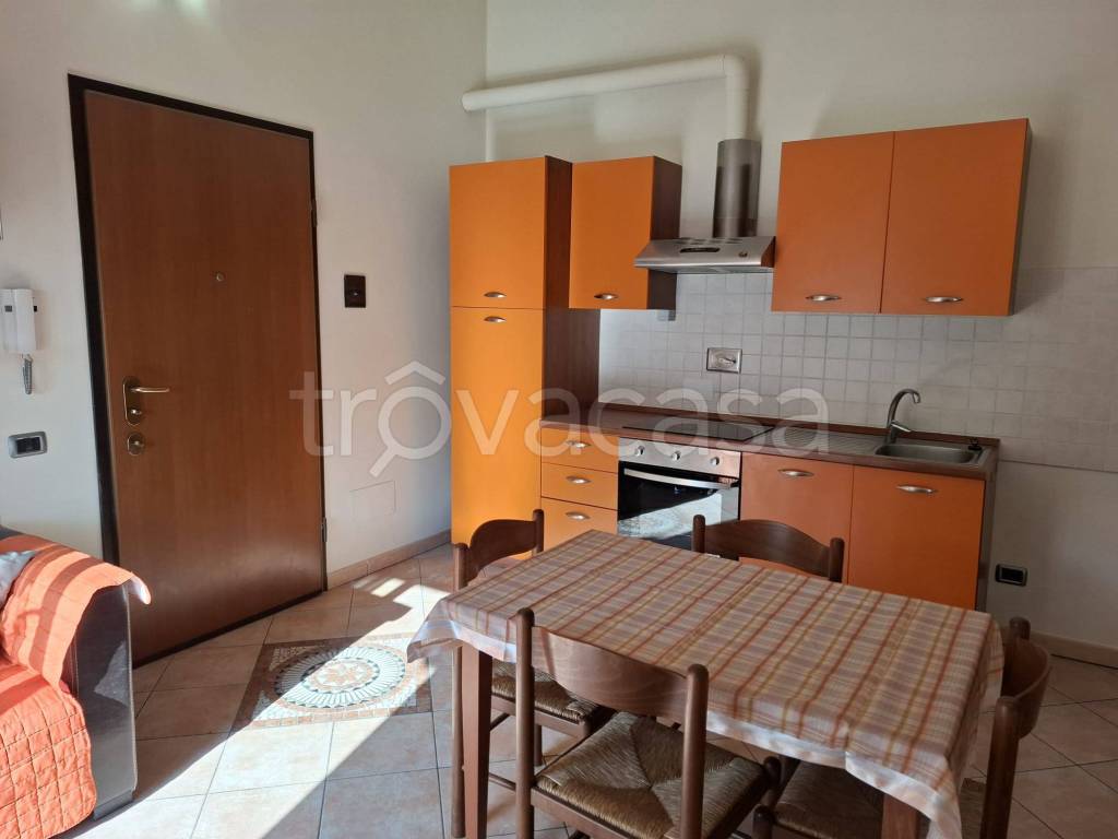 immagine annuncio 1 di 12