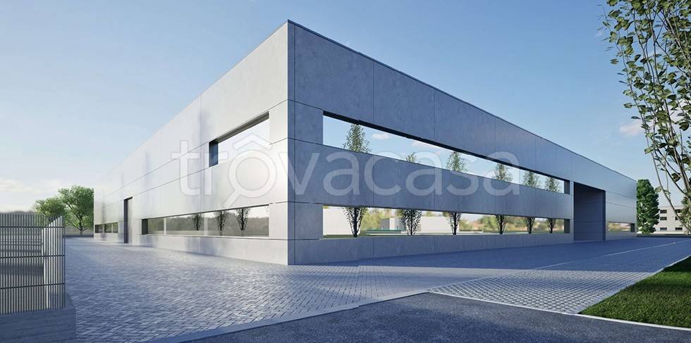 immagine annuncio 3 di 4