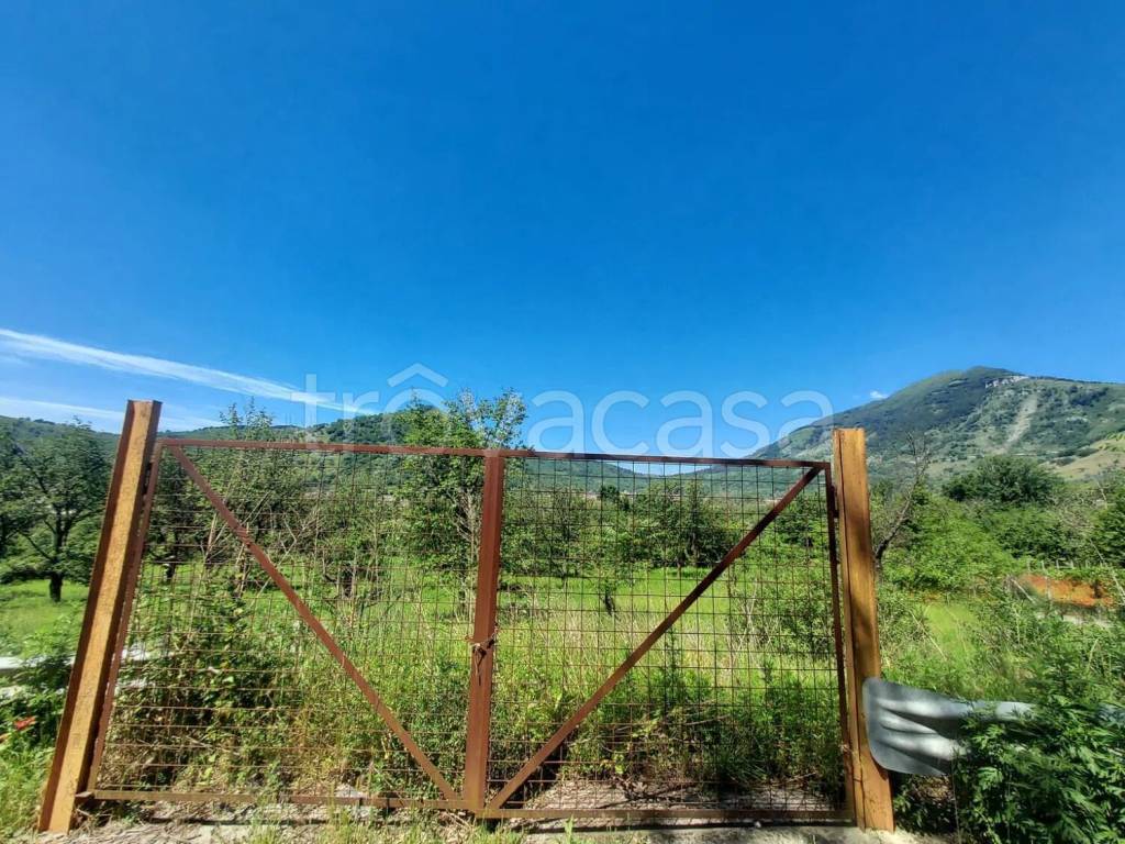 immagine annuncio 1 di 7