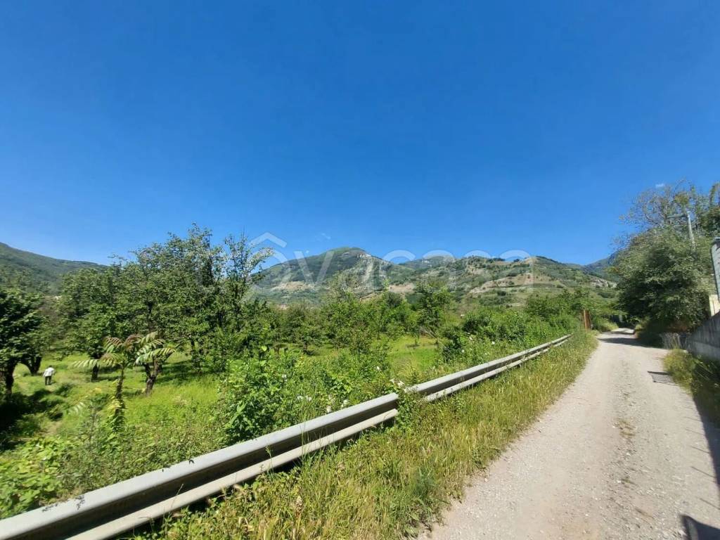 immagine annuncio 2 di 7