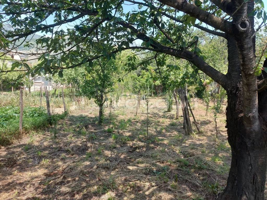 immagine annuncio 3 di 4