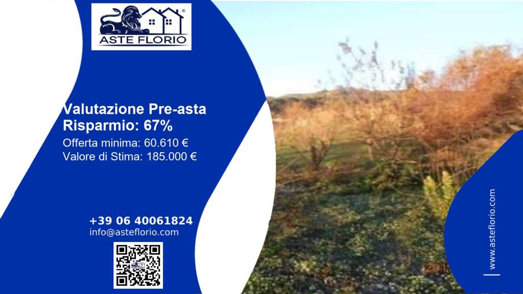 immagine annuncio 1 di 14