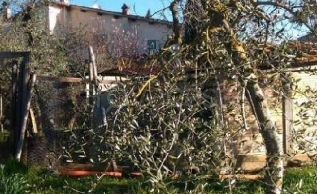 immagine annuncio 4 di 13