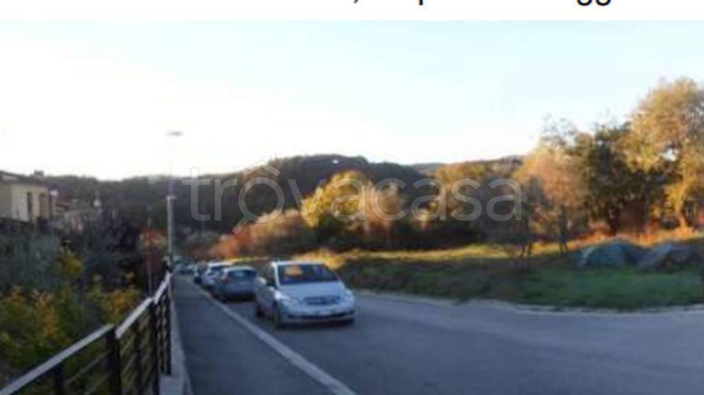 immagine annuncio 9 di 13