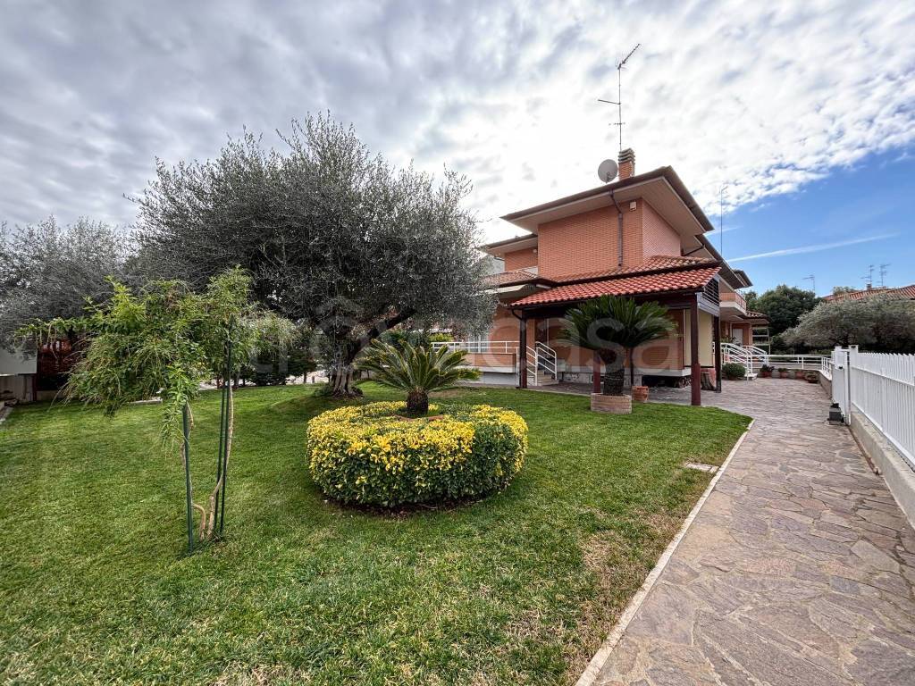 immagine annuncio 1 di 15