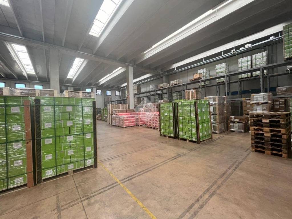 immagine annuncio 8 di 15