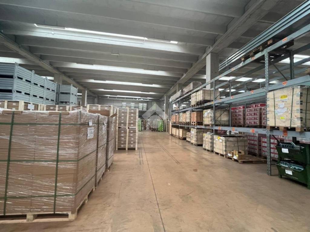 immagine annuncio 10 di 15