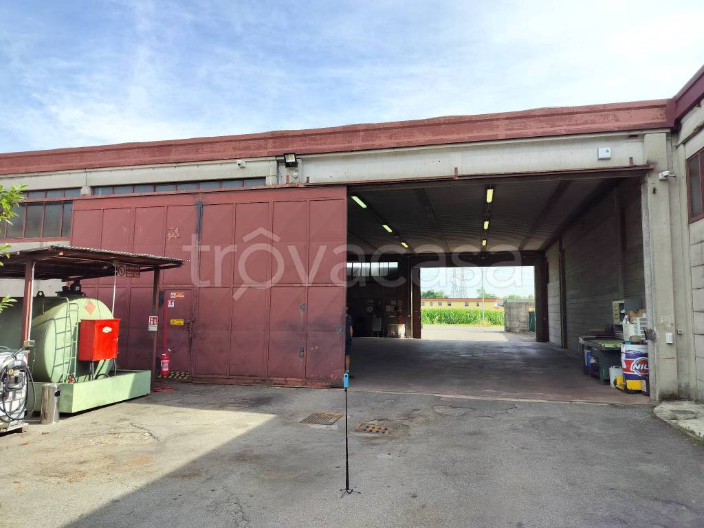 immagine annuncio 4 di 9