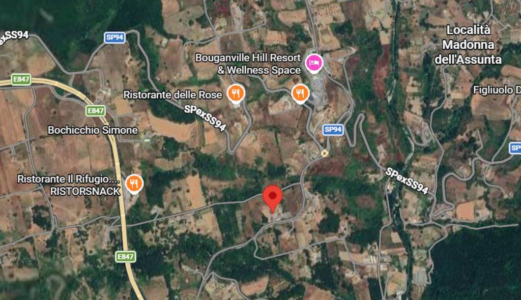 immagine annuncio 6 di 11