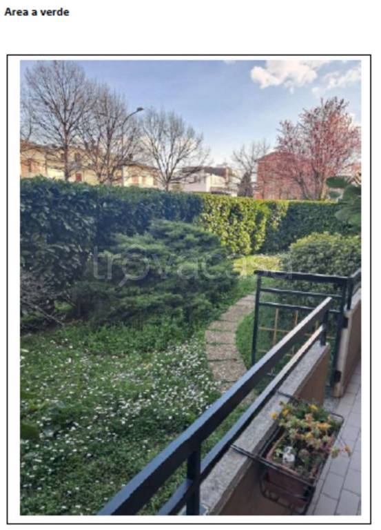 immagine annuncio 3 di 11