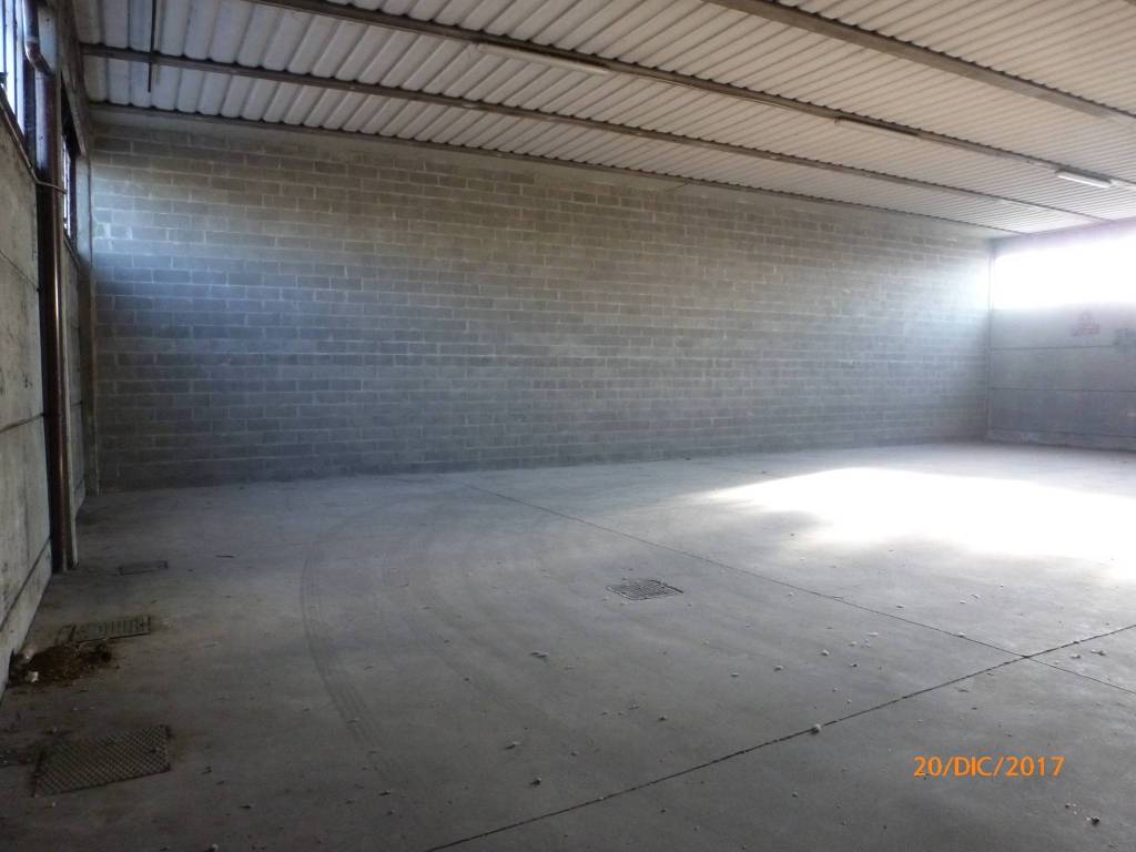 immagine annuncio 5 di 9