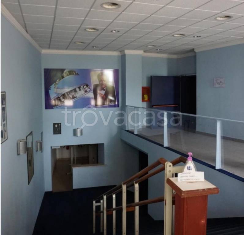 immagine annuncio 4 di 11