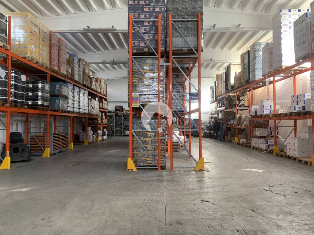 immagine annuncio 9 di 15