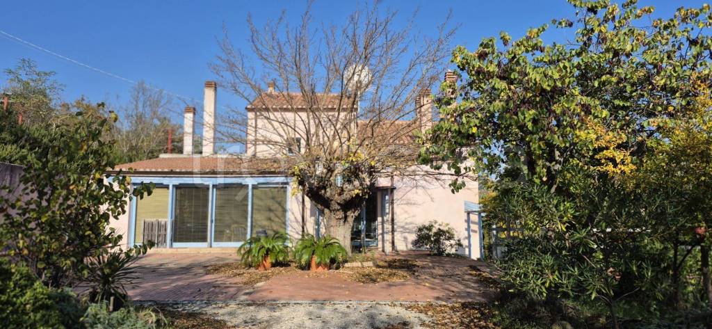 immagine annuncio 5 di 8