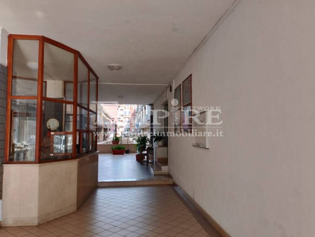 immagine annuncio 4 di 14