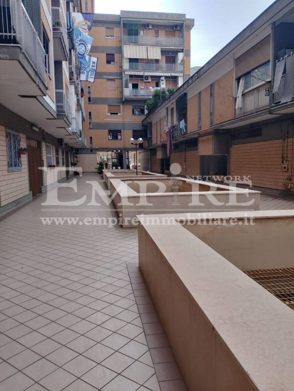 immagine annuncio 6 di 14