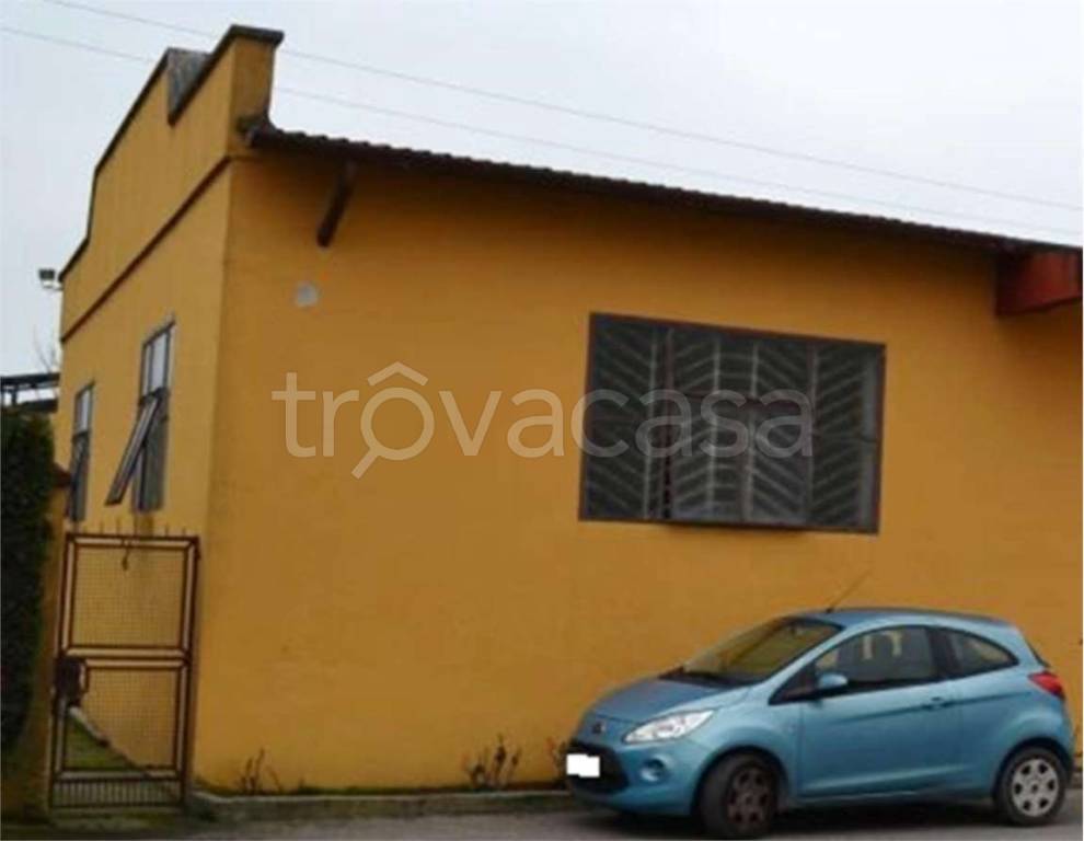 immagine annuncio 1 di 14