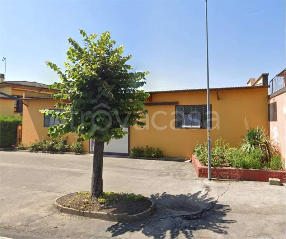 immagine annuncio 6 di 14