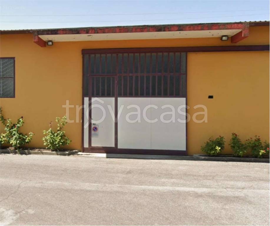 immagine annuncio 7 di 14