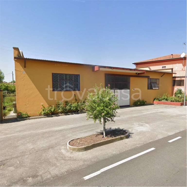 immagine annuncio 9 di 14