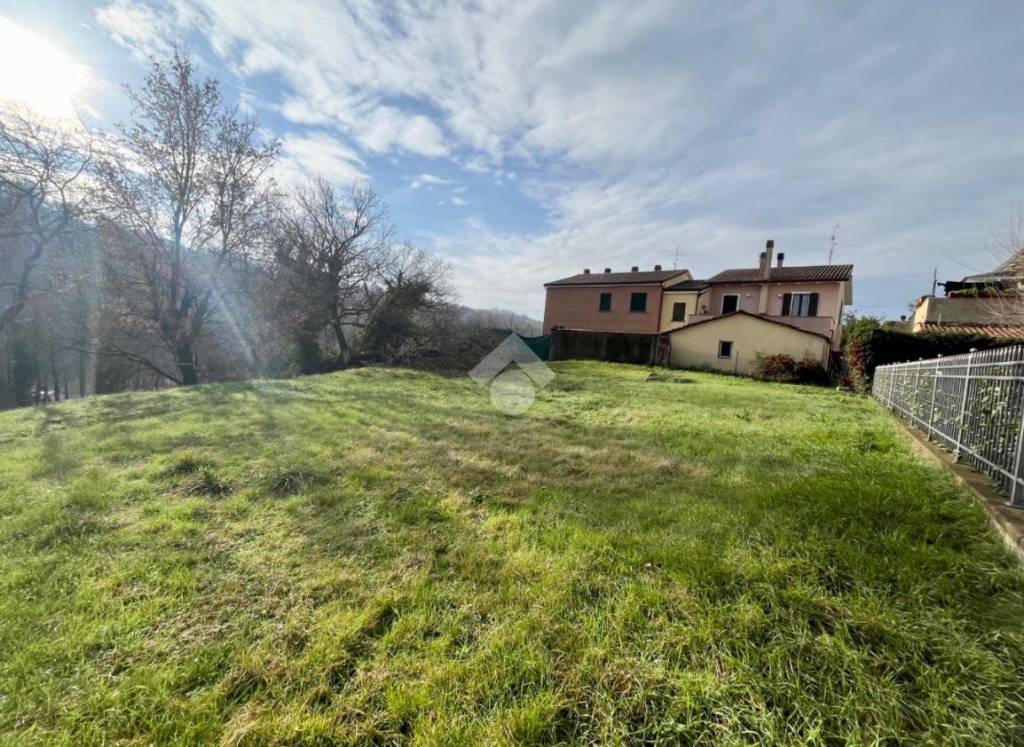 immagine annuncio 2 di 7