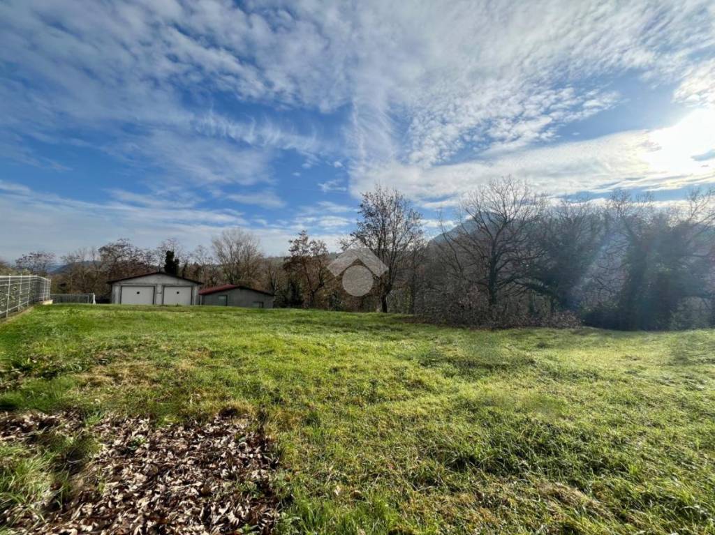 immagine annuncio 2 di 7