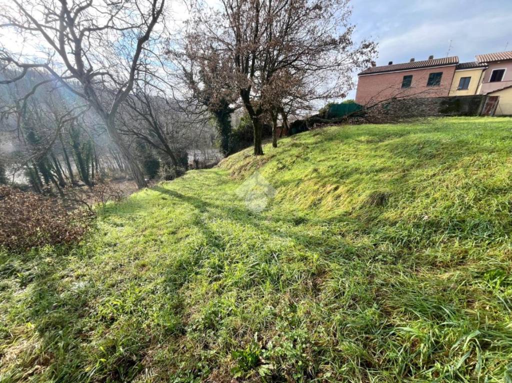 immagine annuncio 3 di 7