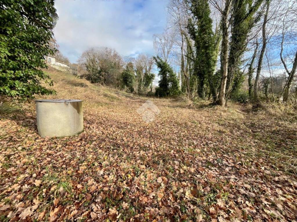 immagine annuncio 4 di 7