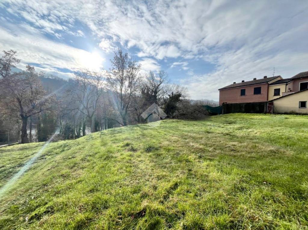 immagine annuncio 5 di 7