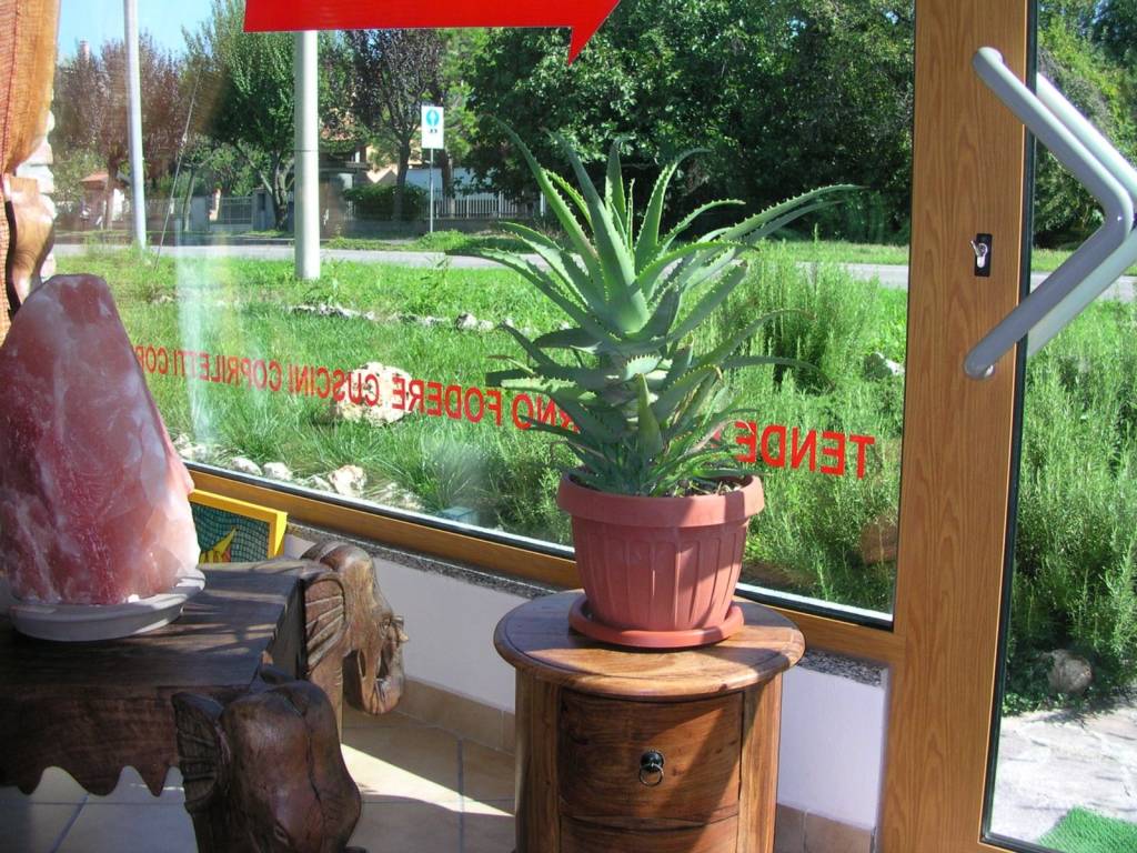 immagine annuncio 5 di 7