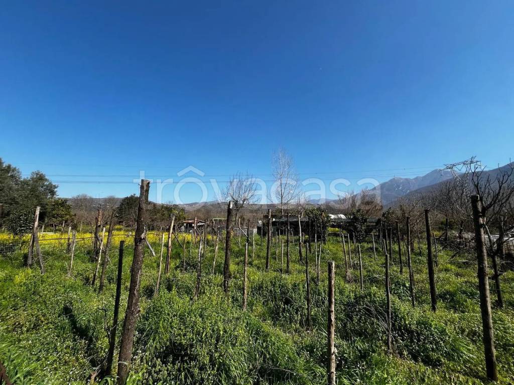 immagine annuncio 2 di 6