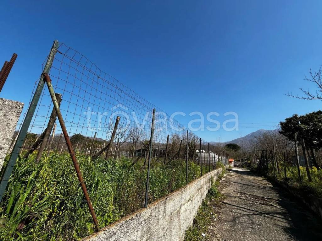 immagine annuncio 4 di 6