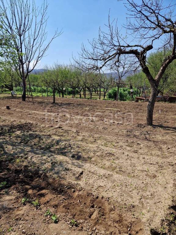 immagine annuncio 3 di 8