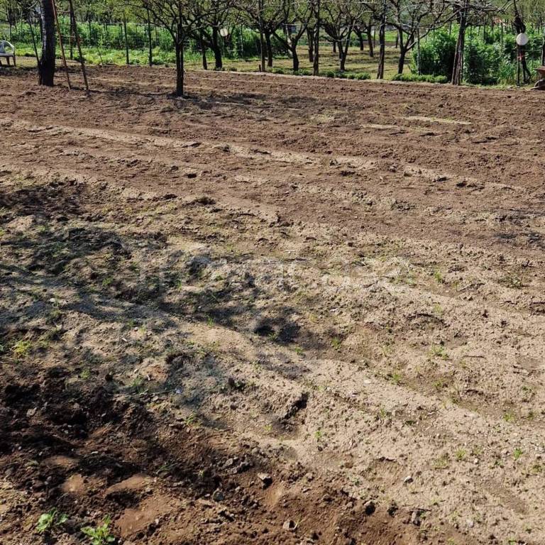 immagine annuncio 4 di 8