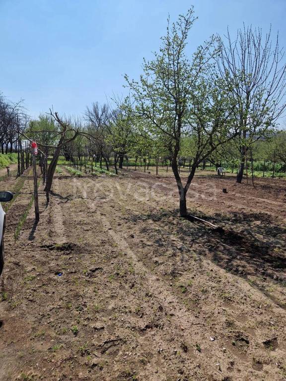 immagine annuncio 5 di 8