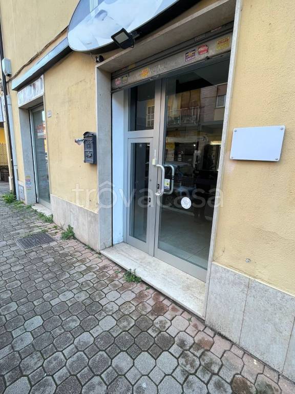 immagine annuncio 3 di 11