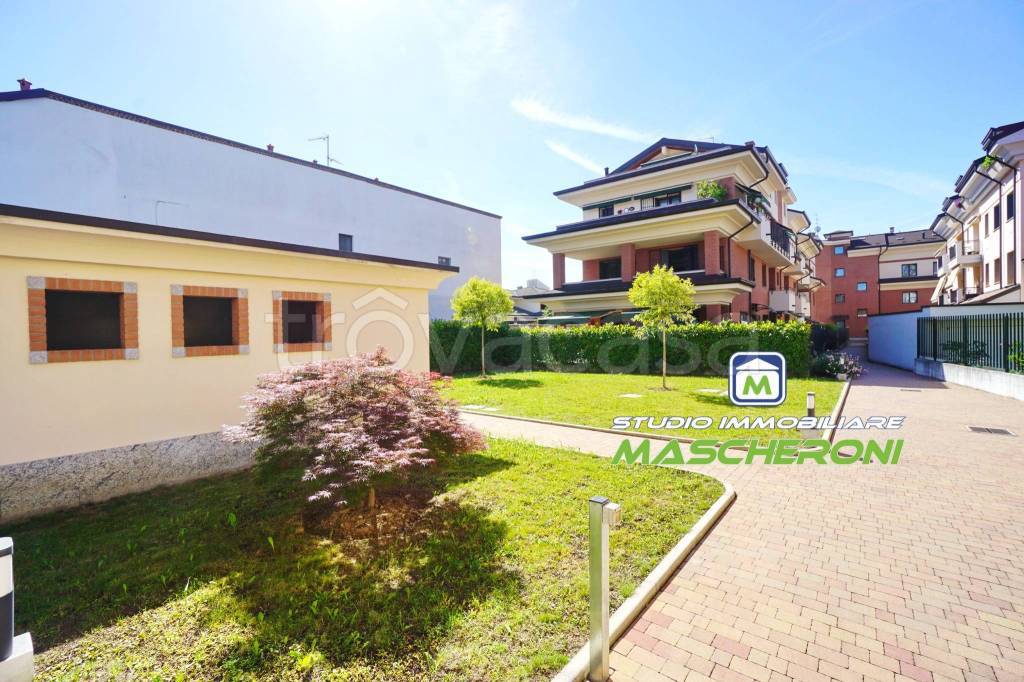 immagine annuncio 5 di 15