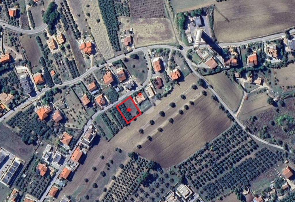 immagine annuncio 3 di 7