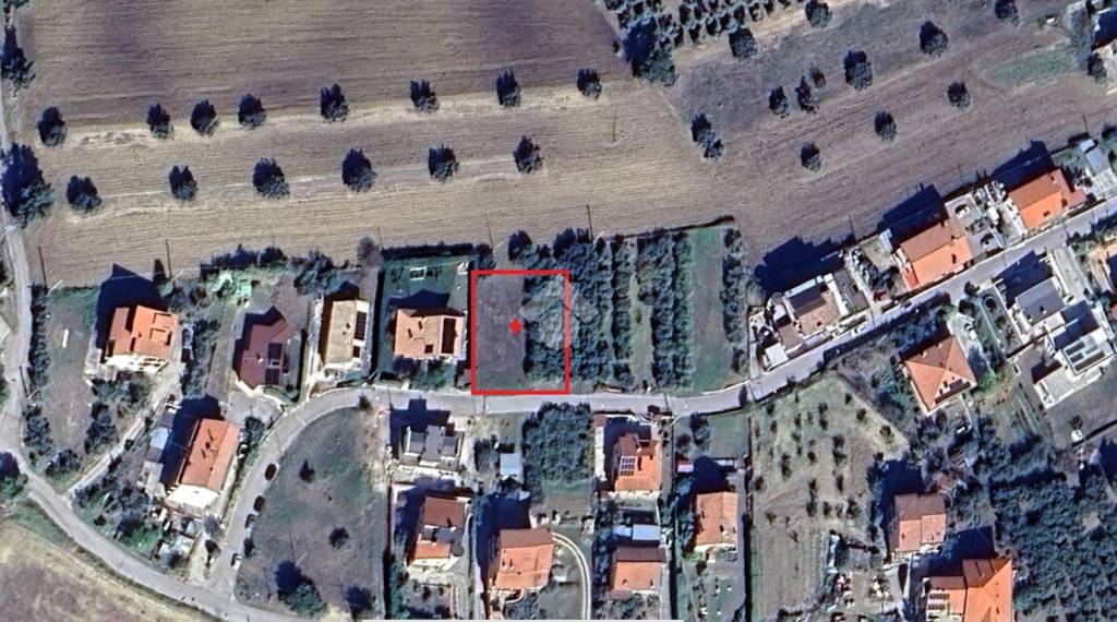 immagine annuncio 6 di 7