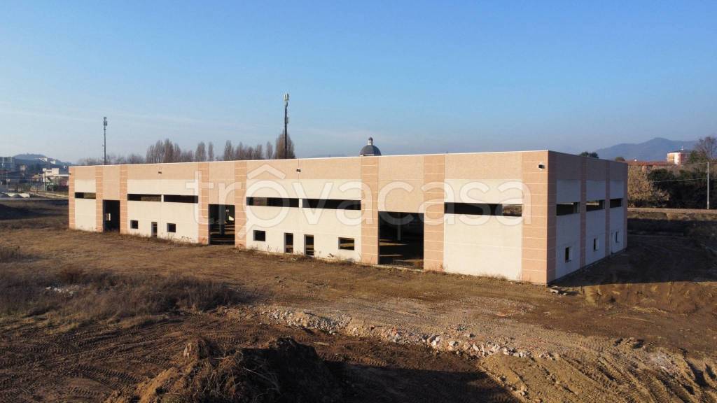 immagine annuncio 2 di 7