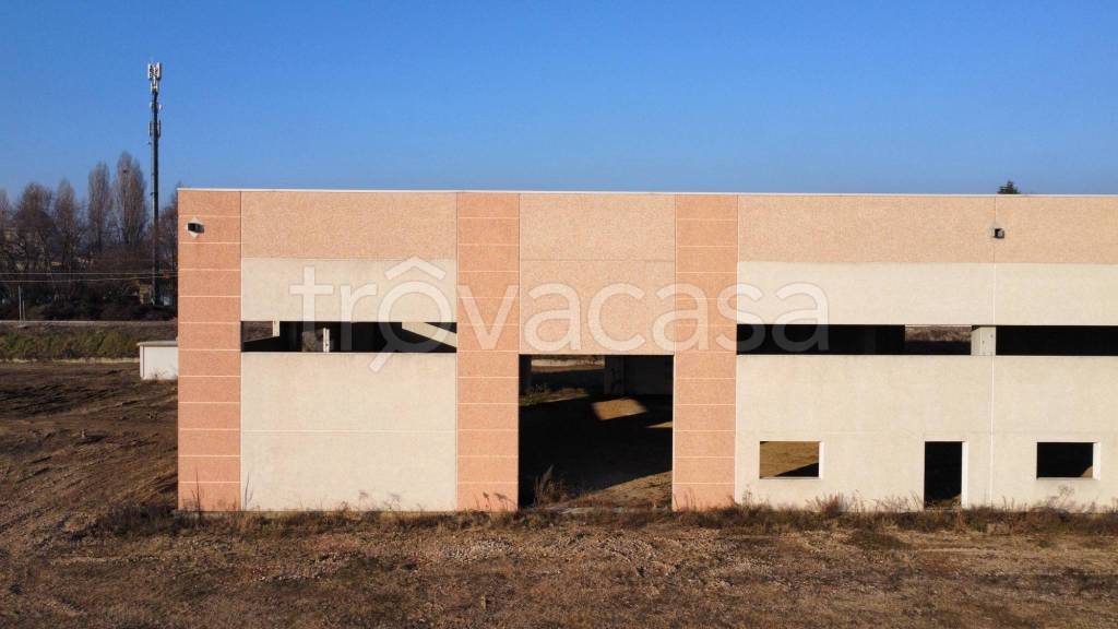 immagine annuncio 5 di 7