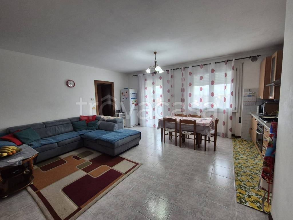 immagine annuncio 1 di 14