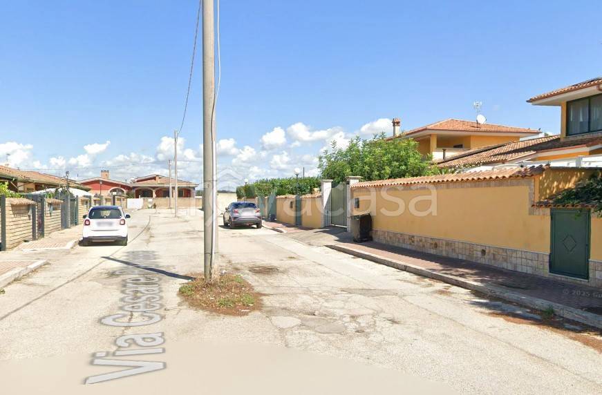 immagine annuncio 5 di 7