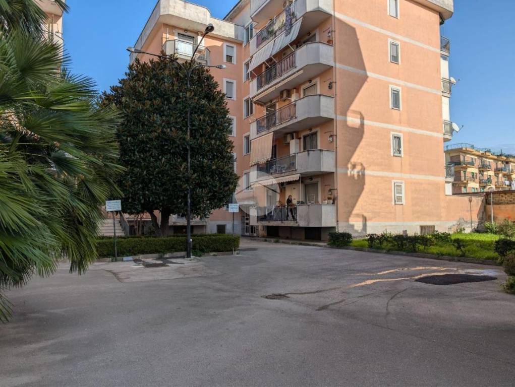 immagine annuncio 1 di 8