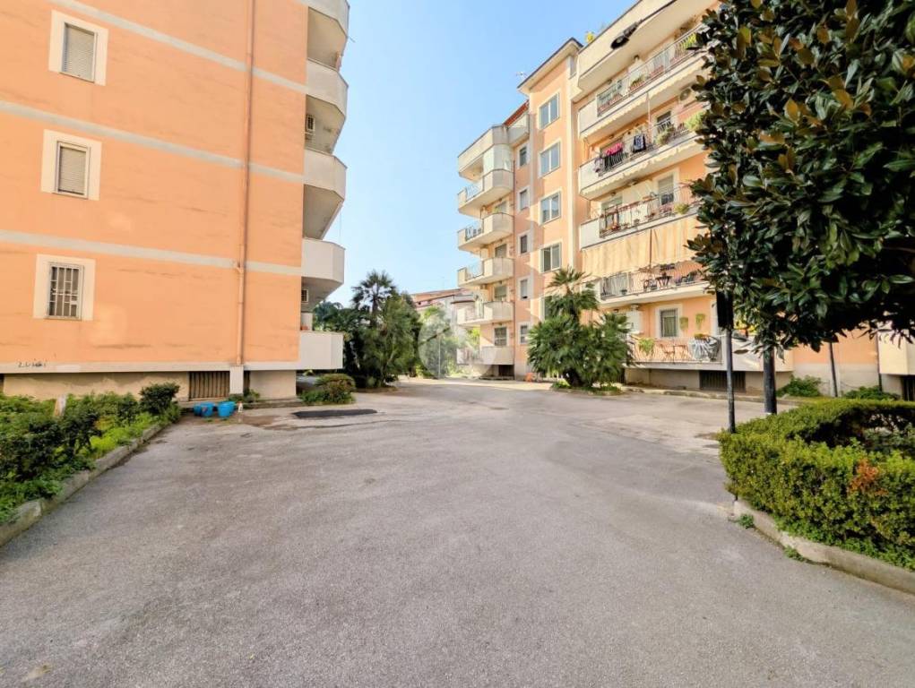 immagine annuncio 2 di 8