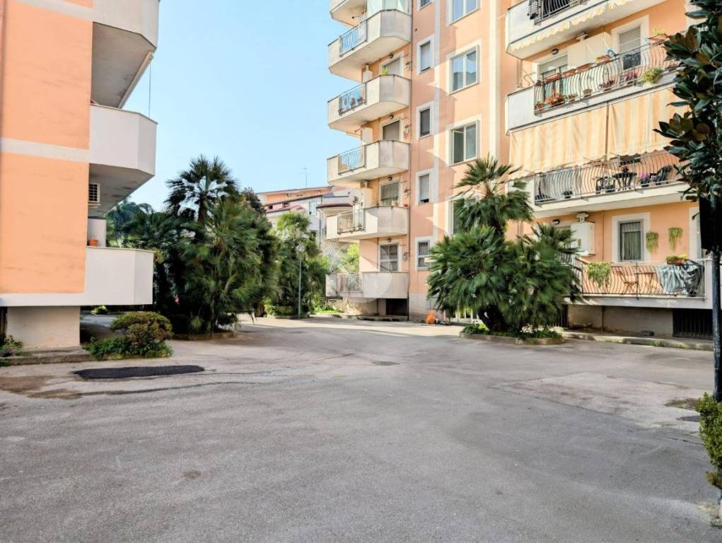 immagine annuncio 3 di 8